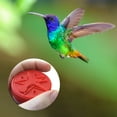 thumbnail image 1 of Handheld Hummingbird Feeders Mini Hand Feeder Outdoors Garden Pentagram Bird Feeder, 1 of 8