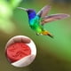 thumbnail image 5 of Comedero portátil para néctar de colibrí para exteriores, para delicias del jardín, comedero portátil para pájaros con forma de pentagrama, 5 of 8