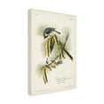 thumbnail image 2 of John James Audubon 'Crested Titmouse' Canvas Art, 2 of 3
