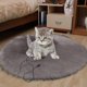 thumbnail image 5 of RKSTN Cat Bed Pet Electric Blanket Heating Pad Constant Temperature Waterproof Anti-Scratch Anti-Leakage Dog Cat Special Small Heater Dark Gray, 5 of 6