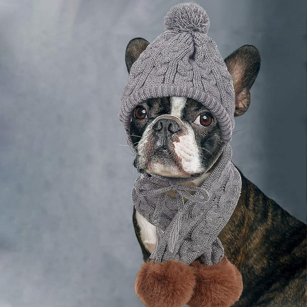 Dog hat and scarf set sales