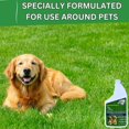 thumbnail image 3 of Urine Control Turf Deodorizer for Outdoor Pet Odor– Artificial Grass Odor Control – Dog Odor Eliminator, Safe for Pets, Kids, Grass, and Turf (32oz), 3 of 8