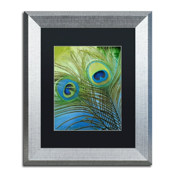 Trademark Fine Art 'Peacock Candy I' Silver Framed Art by Color Bakery