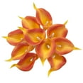 thumbnail image 2 of Visland 10PCS RealTouch Artificial Calla Lily Flowers for Wedding Bouquets, centerpieces, and Floral Decor, 2 of 7