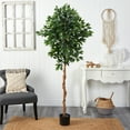 thumbnail image 4 of Nearly Natural 6' Ficus Artificial Tree, 4 of 5