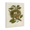 thumbnail image 3 of Stupell Industries Cottage Birdnest with Spotted Eggs Canvas Art, 24 x 30, by Tina Higgins Designs Inc., 3 of 8