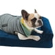 thumbnail image 3 of Cama para perro mediano fácil de limpiar y suave, Cama para perro o gato mediano de espuma resistente, Cama para mascota con Funda extraible Lavable en casa y Comoda con Respaldo (Mediana, Azul), 3 of 6