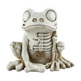 thumbnail image 1 of Modèle de Squelette Grenouille Halloween Statue de Squelette Animal Réaliste Décor de Squelette Grenouille Ornements, 1 of 5