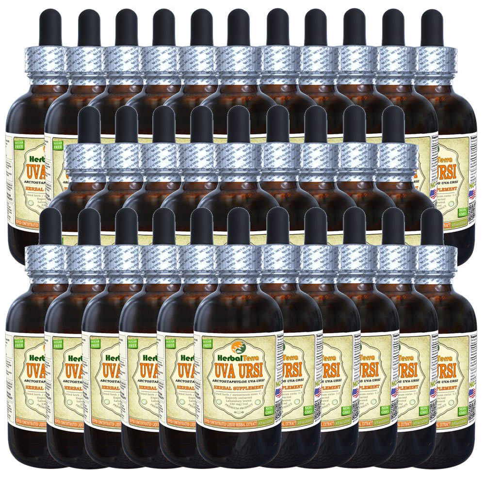 Dried Uva Ursi Leaves (Bearberry) – 100% Natural Herbal Tea Leaves, 1 Oz