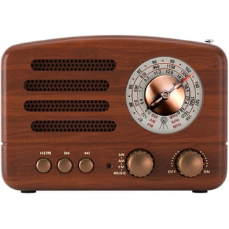 SANSUI F28 Mini Elderly FM Radio Outdoor Wireless Bluetooth
