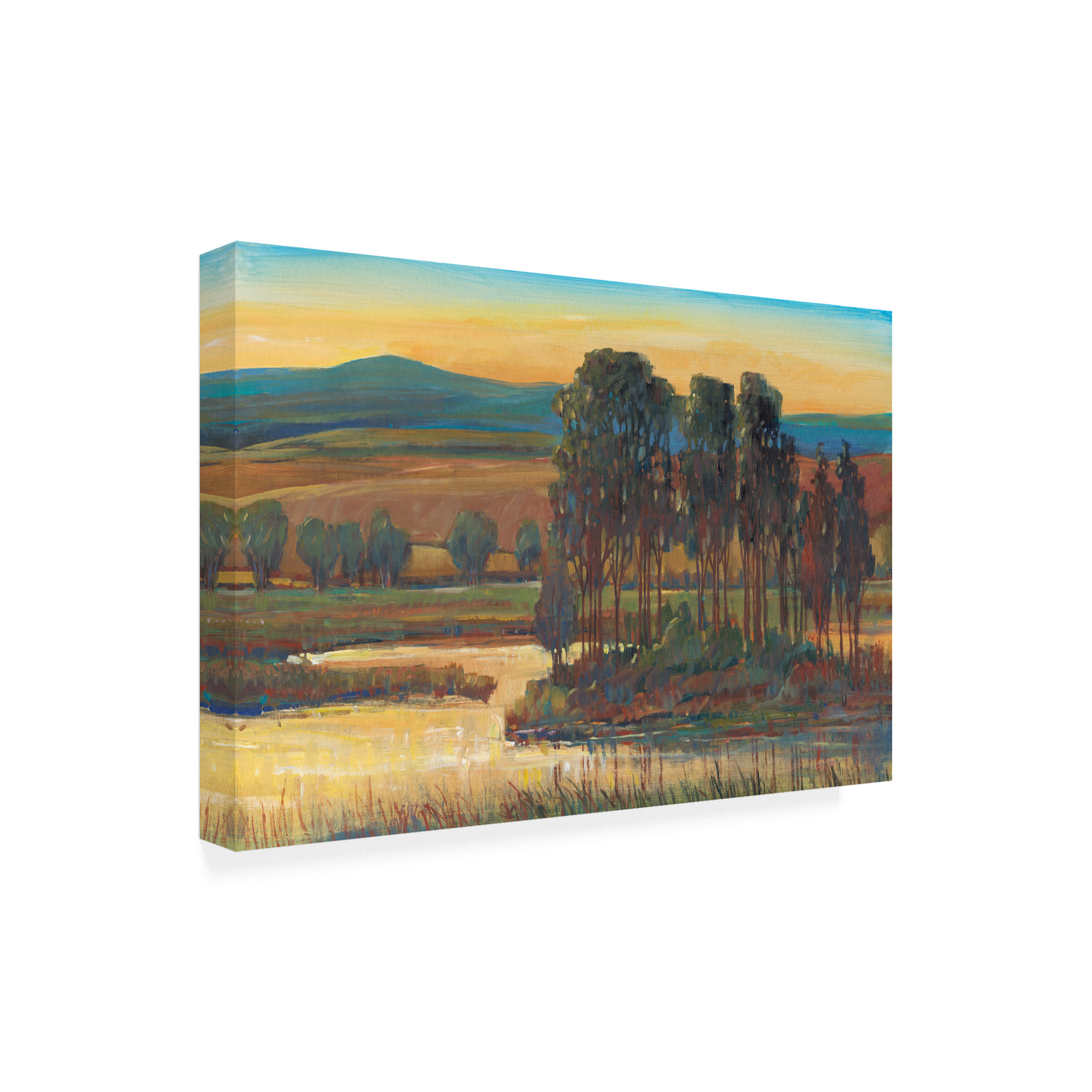 Trademark Fine Art 'Open Inlet Trees II' Canvas Art by Tim OToole