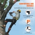 thumbnail image 3 of VEVOR Tree Climbing Spikes Set Climbing Spurs Alloy Steel Safety Rope Hareness, 3 of 9