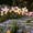 116#Purple, variant on Solar-Powered Butterfly Ground Stake Lights,10 Realistic Butterfly Design,Waterproof Weather-Resistant,Auto On/Off Solar Charging,For Garden Lawn Courtyard Outdoor LED Decor