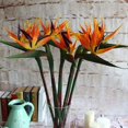thumbnail image 1 of Orquídea - Juego de 3 grandes aves del paraíso artificiales para el hogar o la oficina, 32 pulgadas, color amarillo, 1 of 1