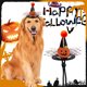 thumbnail image 1 of Decoraciones de Halloween, adornos de Halloween, regalos de Halloween, sombrero ajustable para mascotas, gorro festivo para gatos y perros, para fiestas navideñas, fotos, calendario de cuenta regresiv, 1 of 4