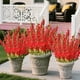 thumbnail image 4 of Ramo artificial de flores de gloria de la mañana, 53cm, 4 of 6