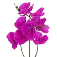 thumbnail image 5 of Violet Artificial Orchid Medium - Violet, 5 of 5