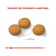 thumbnail image 2 of ROYAL CANIN LARGE SENSITIVE SKIN CARE ROYAL CANIN ROYAL CANIN 13.6 KG, 2 of 3
