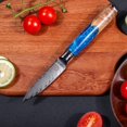 thumbnail image 2 of Fukep Paring Knife 3.5 Inch Damascus Paring Knife Small Fruit Knife Ultra Sharp Damascus VG10 Core Steel with 66 Layers High Carbon Steel Classical Pattern Blue Handle with Elegant Gift Box, 2 of 7