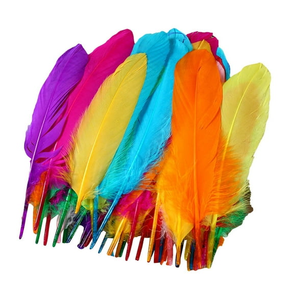 YWIYIUD Colorful Craft Goose Feathers, 50PCS 6-8inch Colored Feathers for DIY Crafts, Dream Catchers, Wedding and Home Party Festivals Decorations