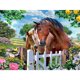 thumbnail image 1 of Pintura de diamante 5D DIY Kit de caballo de taladro redondo completo decoración del hogar arte artesanal, 1 of 9