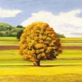 thumbnail image 2 of Pianure Serene I (detail) by Angelo Masera, Canvas Wall Art, 24W x 24H, 2 of 2