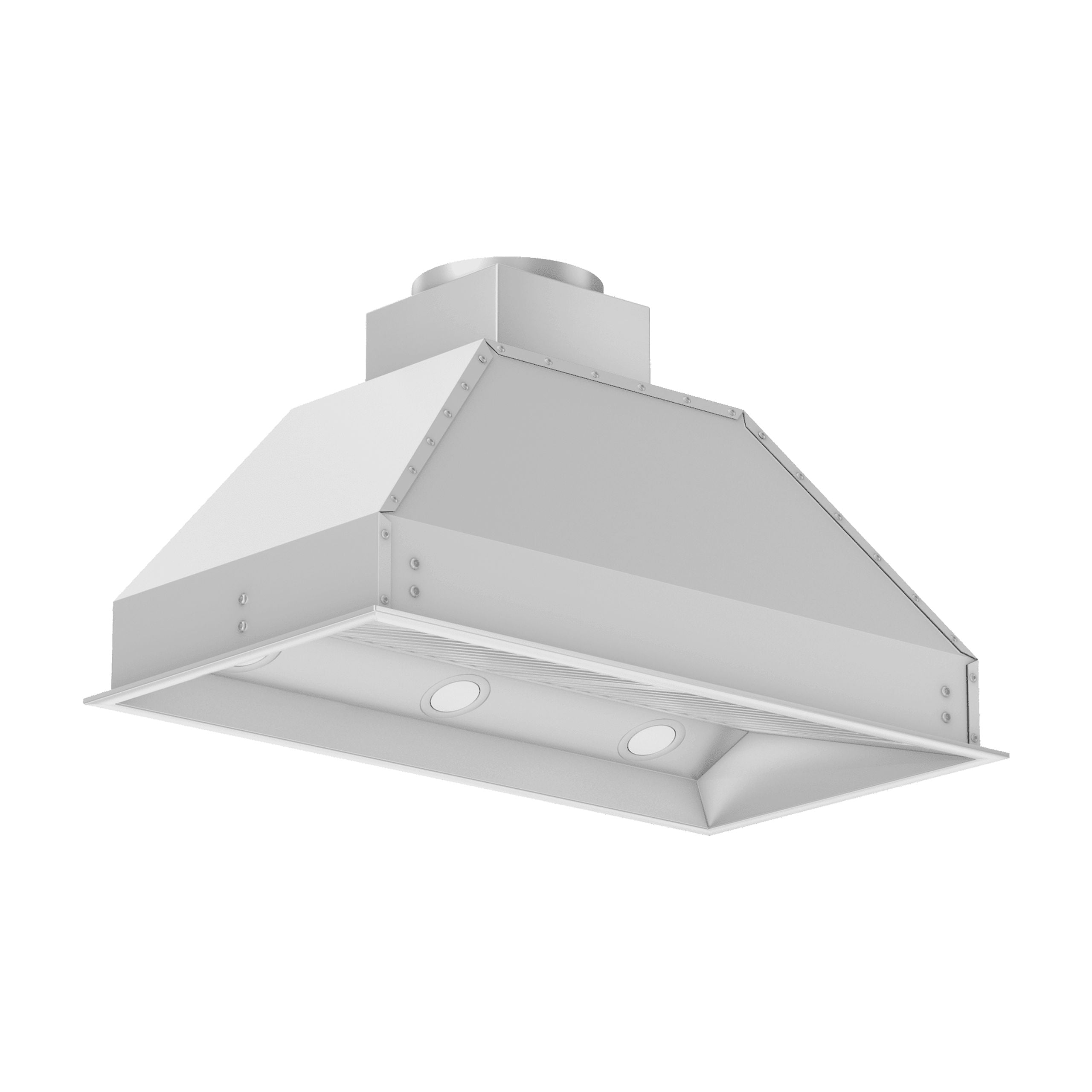 ZLINE 46 in. Outdoor Range Hood Insert in Stainless Steel (698-304-46)