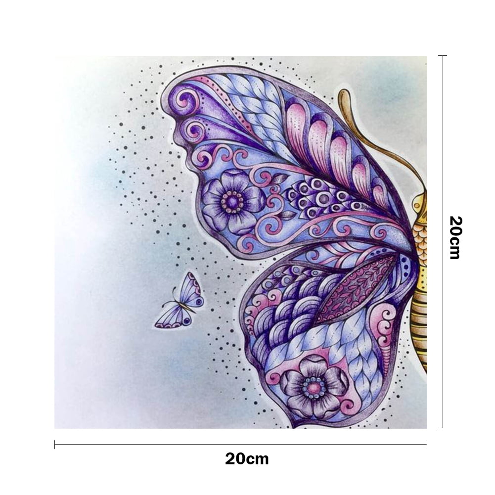 EOBROMD Kit De Pintura Por Números Para Adultos Con Marco – Lienzo De Mariposa, Incluye Pinceles Y Pintura Acrílica