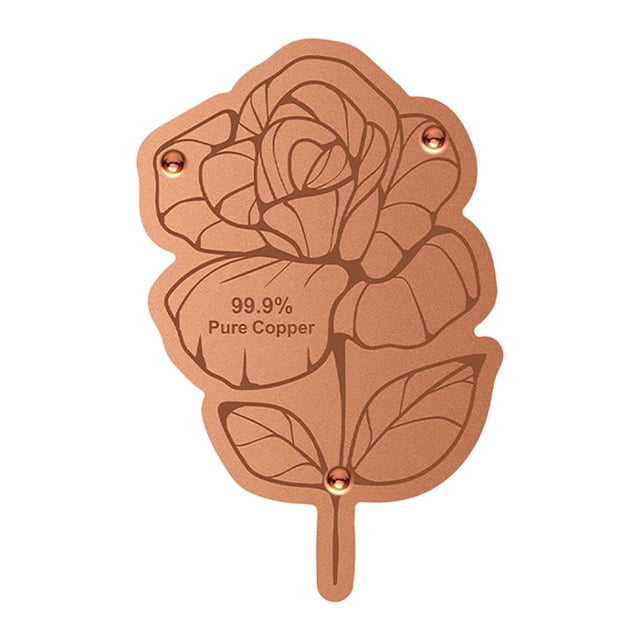 SIfdSeng My Items Bird Bath Plate Decorative Purification Plate with Support Points Natural All Weather Water Suitable for Outdoor Bird Bath Tubs and Bowls Multiple Choices