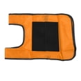 thumbnail image 1 of Throwing Ball Vest With 2 Ball, Soft Fleece Balls, Safe For Kids, Outdoor Props, 1 of 8