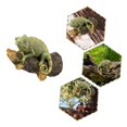 thumbnail image 3 of Garden Garden Decoration Simulation-chameleon Tree Hanging Handicraft Ornaments, 3 of 6