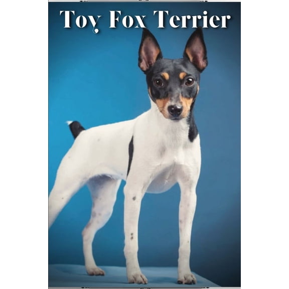 Toy Fox Terrier : Dog breed overview and guide (Paperback)