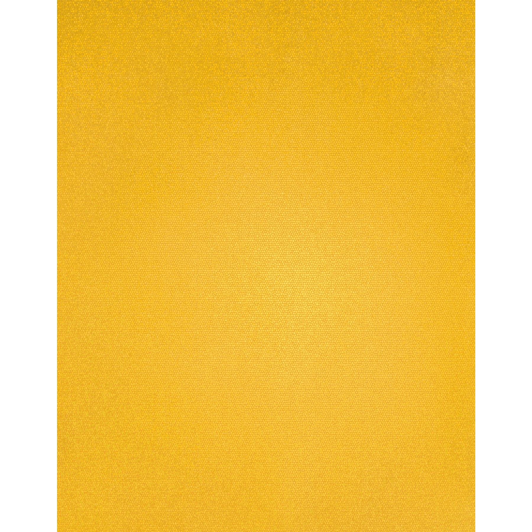 Tableau holographique ArtSkills pour des affiches 22 x 28 po