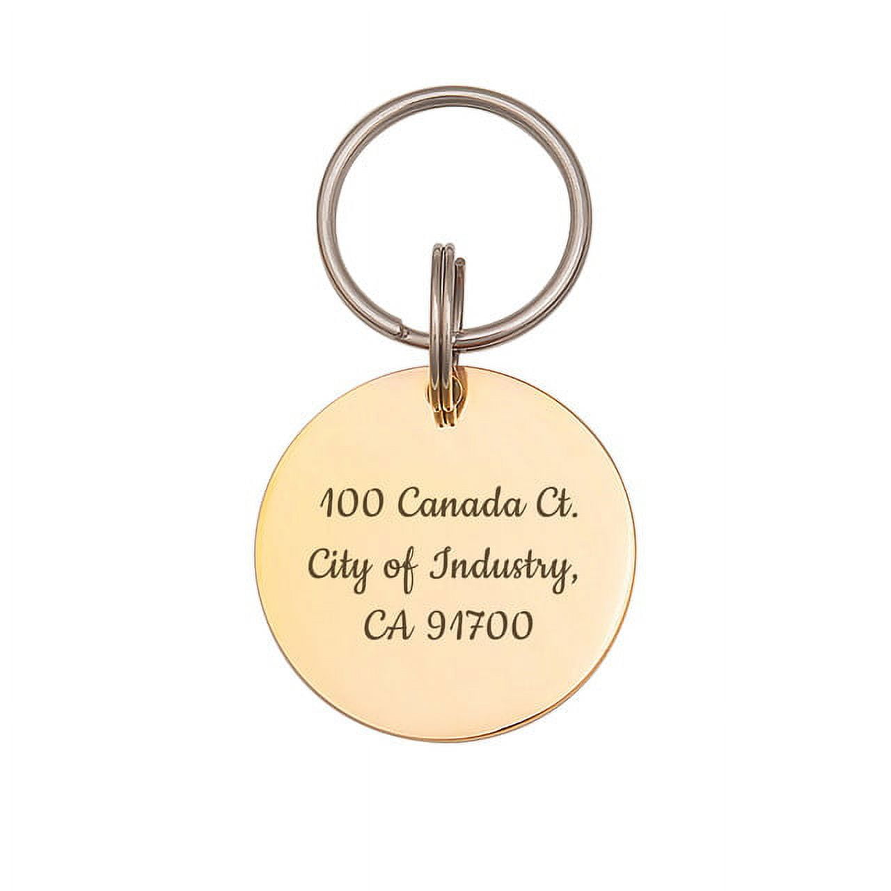 Anavia Stainless Steel Double Sided Round Name and Phone Number Engraved Dog & Cat ID Tag, Multi-color, S