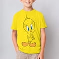 thumbnail image 6 of Tweety Bird T-Shirts for Boys Girls, Kids 3D Print Short Sleeve, Unisex Crew Neck Tee Shirts for Youth, 6 of 9