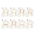 thumbnail image 7 of POPLIS Transparent Lift Tape Athletic Body Tape Push Up Bob Tape Invisible Boobtape Bra for Big Women Dresses, 7 of 7