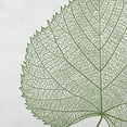 thumbnail image 2 of 16" x 16" Simply Daisy Leaf Study Polyester Accent Pillow, Scallion Qty 1, 2 of 6