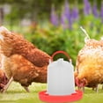 thumbnail image 1 of HEALEEP 1 De Alimentador Para Pollos Con Único Y Material Duradero, 1 of 8