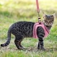 thumbnail image 7 of PUPTECK Breathable Cat Harness and Leash Set - Escape Proof Cat Vest Harness, Reflective Adjustable Soft Mesh Kitty Puppy Harness, Easy Control for Outdoor Walking, 7 of 7