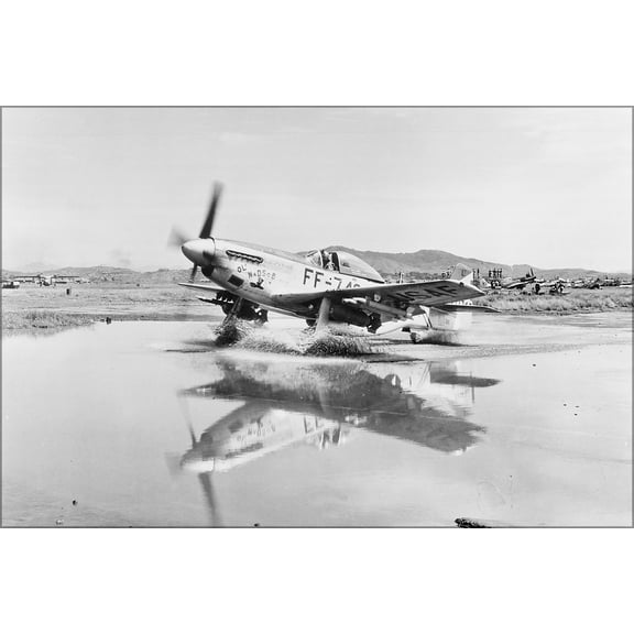 24"x36" Gallery Poster, U.S. Air Force North American F-51D Mustang p-51 variant