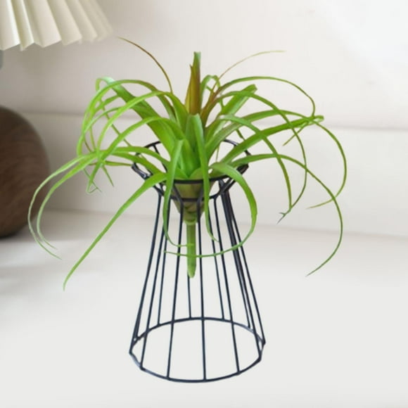 Soporte para plantas de aire Macarena Soporte para exhibición de flores Negro