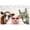 Unframe-style, variant on Cute Funny Farm Animal Canvas Wall Art Prints Cow Pig Donkey with Sunglasses Flower Crowns Rustic Farmhouse Home Decor for Living Room Bedroom Kids