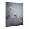 thumbnail image 2 of Stupell Industries Traditional Majestic Snowy Owl Flying Wingspan Wildlife Photography Canvas Art, 16 x 20, by Carrie Ann Grippo-Pike, 2 of 7