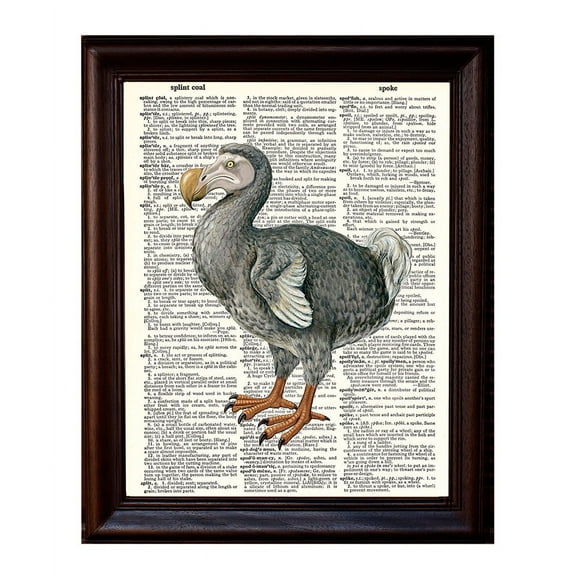 Dodo Bird - Dictionary Art Print Printed On Authentic Vintage Dictionary Book Page - 8 x 10.5