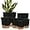 Black, variant on Indoor Outdoor Plant Pots- Self Watering Planters with Drainage Holes and Saucers, 9,8, 7.5 Inches, 3 Pots (Snow)