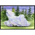 thumbnail image 1 of Carolines Treasures SS8453MAT Paillasson Intérieur Extérieur Maltese 18 x 27 Po, 1 of 4