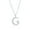 Silver, variant on Gold Plated Crescent Moon & North Star Necklace in Sterling Silver - Simulated Diamond CZ Necklace for Women - Fine Jewelry for Her