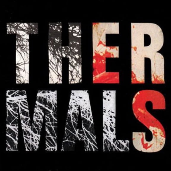 The Thermals - Desperate Ground - Alternative - CD