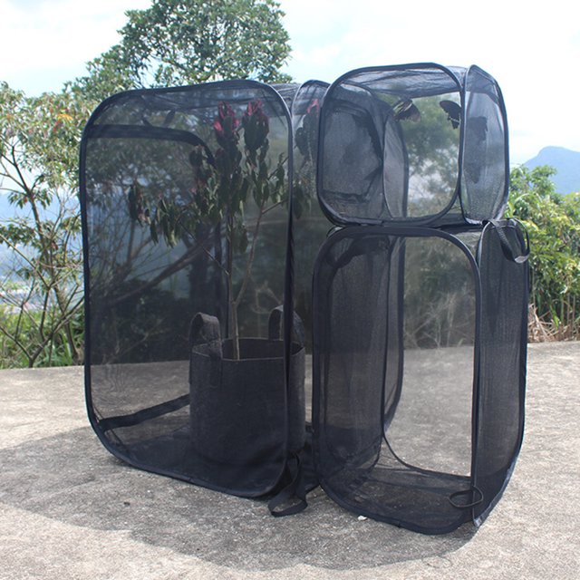 Cage à Insectes Pliable en Polyester Parfait Incubateur pour Papillons à la Maison