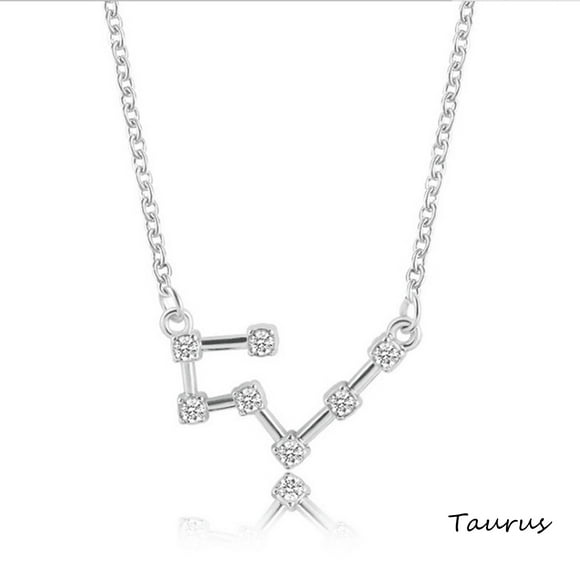 Openpig Sterling Silver Astrology 12 Constellation Horoscope Astrology Zodiac Necklace Birthday Jewelry for Women